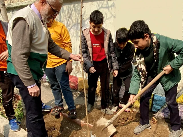 برگزاری مراسم درختکاری در مدرسه